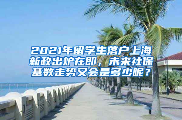 2021年留学生落户上海新政出炉在即，未来社保基数走势又会是多少呢？