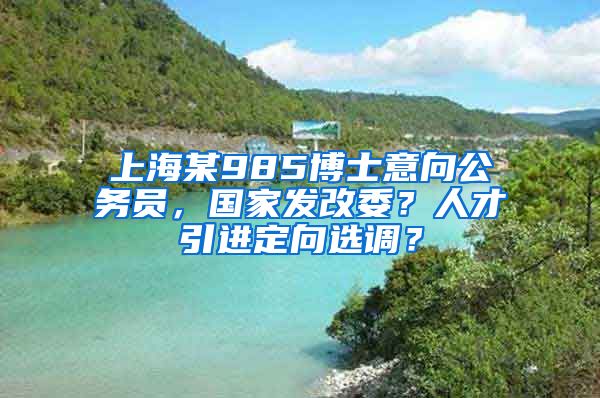 上海某985博士意向公务员，国家发改委？人才引进定向选调？