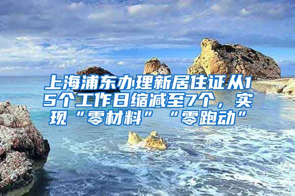 上海浦东办理新居住证从15个工作日缩减至7个，实现“零材料”“零跑动”