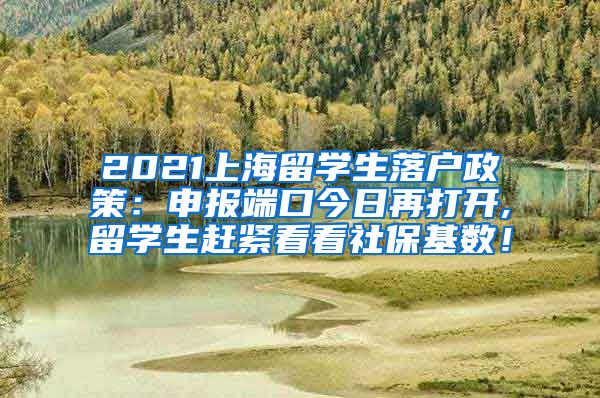 2021上海留学生落户政策：申报端口今日再打开,留学生赶紧看看社保基数！