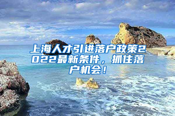 上海人才引进落户政策2022最新条件，抓住落户机会！