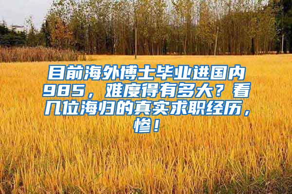 目前海外博士毕业进国内985，难度得有多大？看几位海归的真实求职经历，惨！