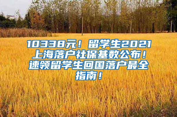 10338元！留学生2021上海落户社保基数公布！速领留学生回国落户最全指南！