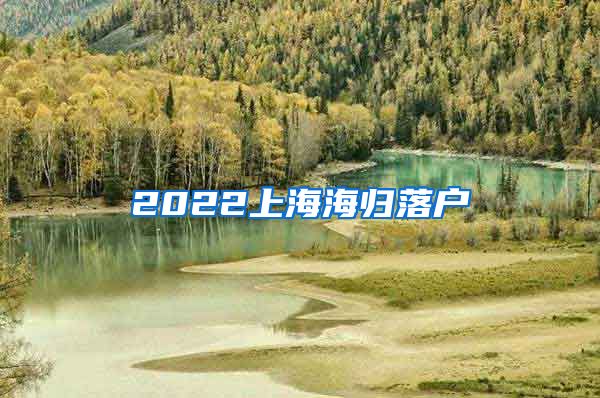 2022上海海归落户