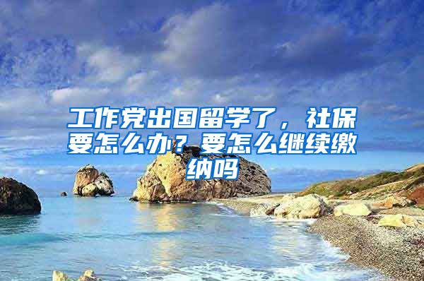 工作党出国留学了，社保要怎么办？要怎么继续缴纳吗