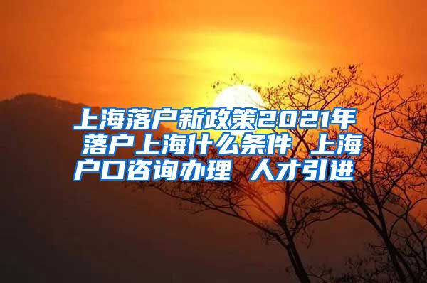 上海落户新政策2021年 落户上海什么条件 上海户口咨询办理 人才引进