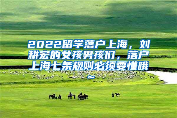 2022留学落户上海，刘耕宏的女孩男孩们，落户上海七条规则必须要懂哦～