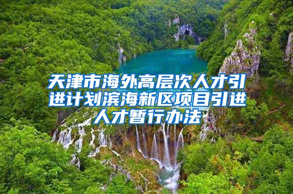 天津市海外高层次人才引进计划滨海新区项目引进人才暂行办法