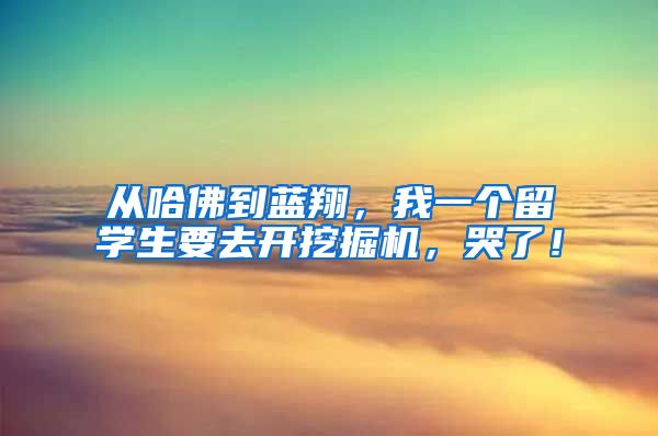 从哈佛到蓝翔，我一个留学生要去开挖掘机，哭了！