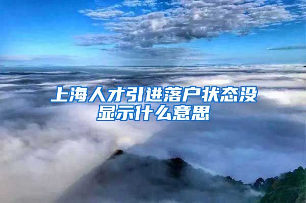 上海人才引进落户状态没显示什么意思