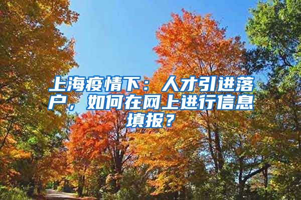 上海疫情下：人才引进落户，如何在网上进行信息填报？