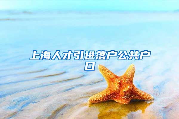 上海人才引进落户公共户口