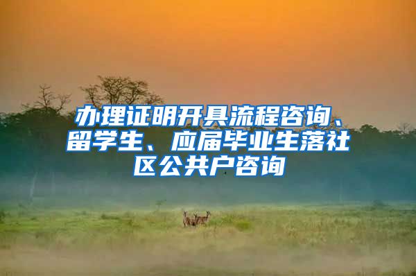 办理证明开具流程咨询、留学生、应届毕业生落社区公共户咨询