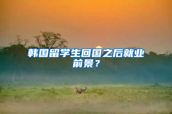 韩国留学生回国之后就业前景？