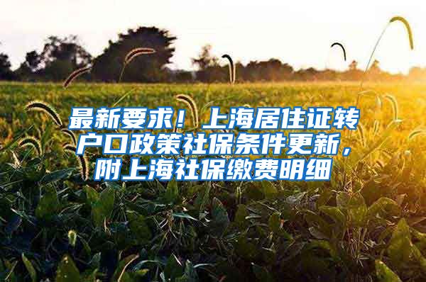 最新要求！上海居住证转户口政策社保条件更新，附上海社保缴费明细