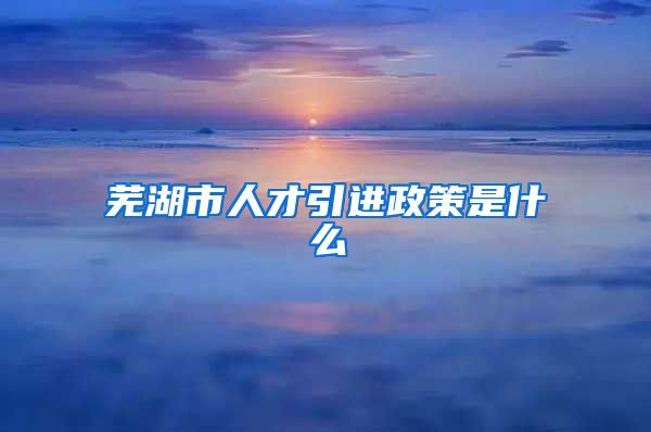 芜湖市人才引进政策是什么