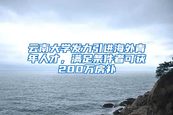 云南大学发力引进海外青年人才，满足条件者可获200万房补