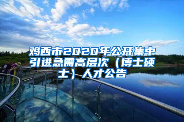 鸡西市2020年公开集中引进急需高层次（博士硕士）人才公告