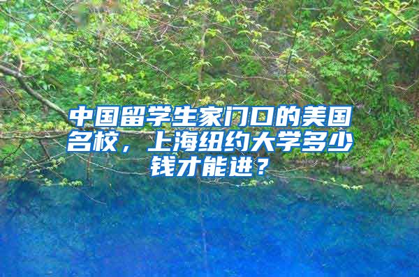 中国留学生家门口的美国名校，上海纽约大学多少钱才能进？