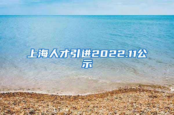 上海人才引进2022.11公示