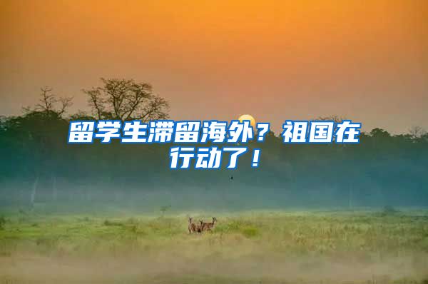 留学生滞留海外？祖国在行动了！