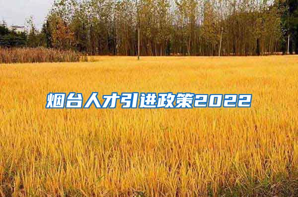 烟台人才引进政策2022