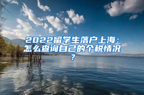 2022留学生落户上海：怎么查询自己的个税情况？