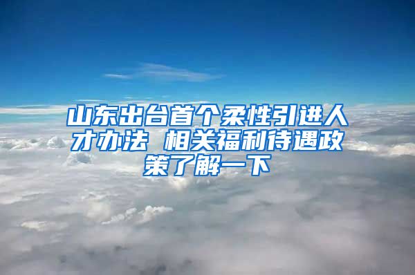 山东出台首个柔性引进人才办法 相关福利待遇政策了解一下