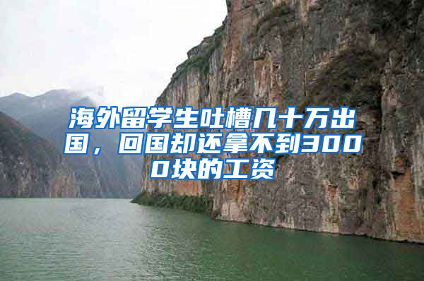 海外留学生吐槽几十万出国，回国却还拿不到3000块的工资