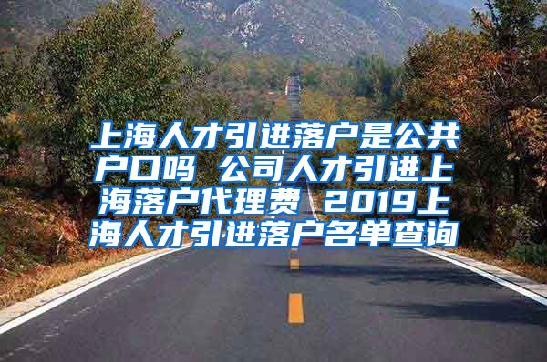 上海人才引进落户是公共户口吗 公司人才引进上海落户代理费 2019上海人才引进落户名单查询