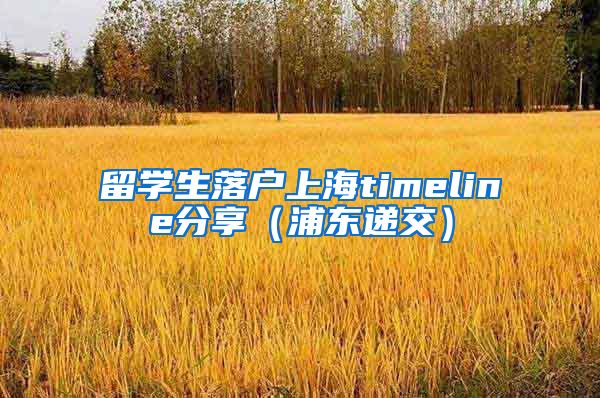 留学生落户上海timeline分享（浦东递交）