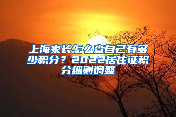 上海家长怎么查自己有多少积分？2022居住证积分细则调整