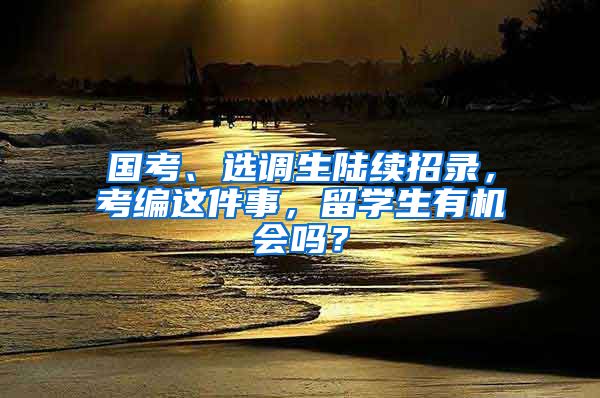 国考、选调生陆续招录，考编这件事，留学生有机会吗？