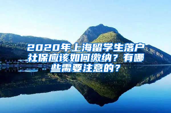 2020年上海留学生落户社保应该如何缴纳？有哪些需要注意的？