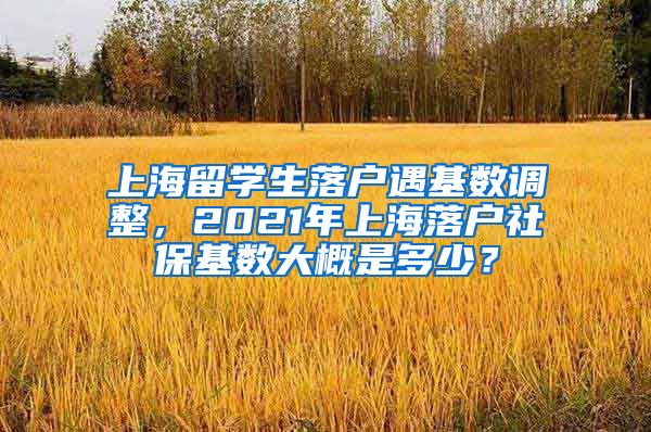 上海留学生落户遇基数调整，2021年上海落户社保基数大概是多少？