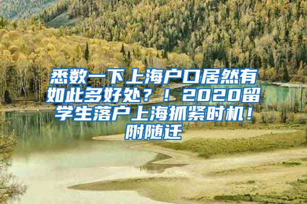 悉数一下上海户口居然有如此多好处？！2020留学生落户上海抓紧时机！附随迁