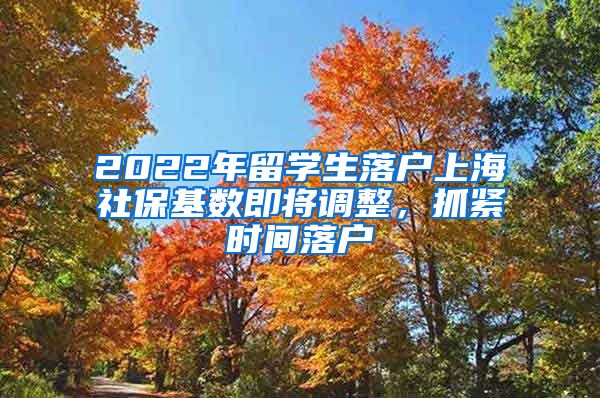 2022年留学生落户上海社保基数即将调整，抓紧时间落户