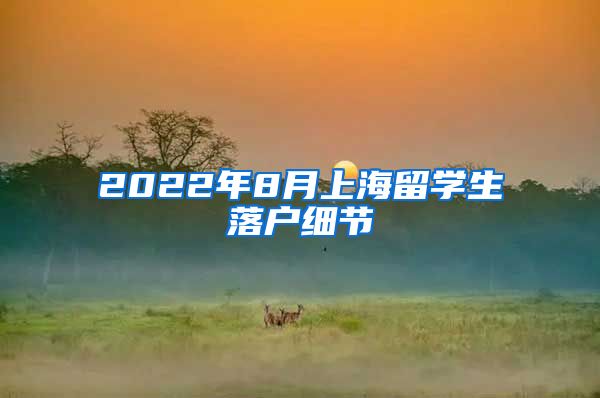 2022年8月上海留学生落户细节