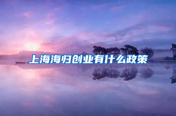 上海海归创业有什么政策