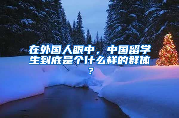 在外国人眼中，中国留学生到底是个什么样的群体？