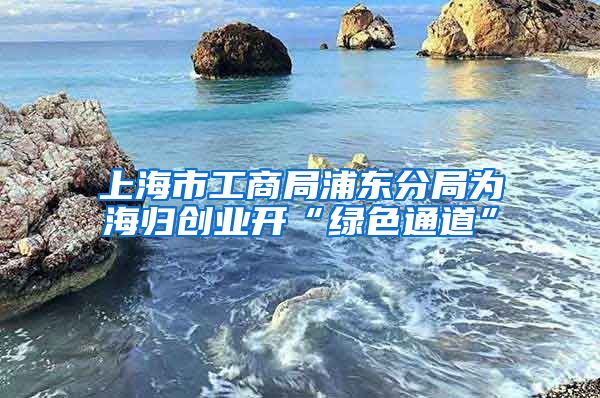 上海市工商局浦东分局为海归创业开“绿色通道”