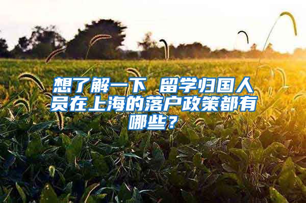 想了解一下 留学归国人员在上海的落户政策都有哪些？