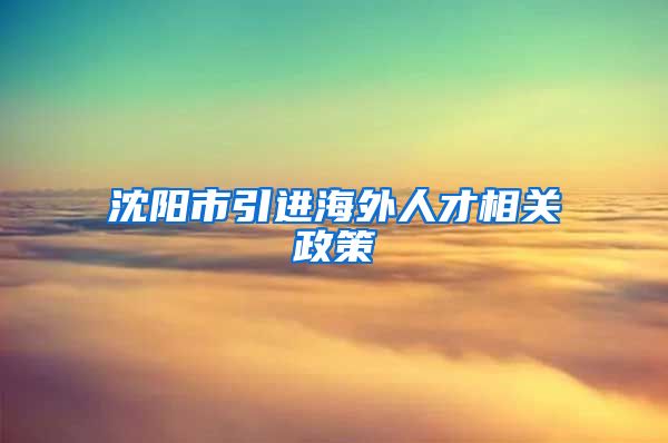 沈阳市引进海外人才相关政策