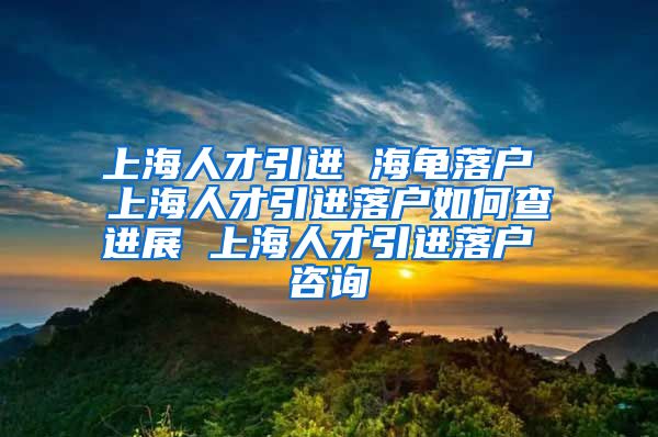 上海人才引进 海龟落户 上海人才引进落户如何查进展 上海人才引进落户 咨询