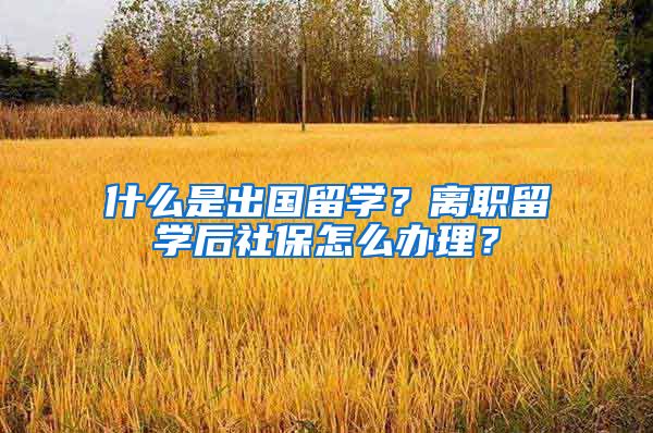 什么是出国留学？离职留学后社保怎么办理？