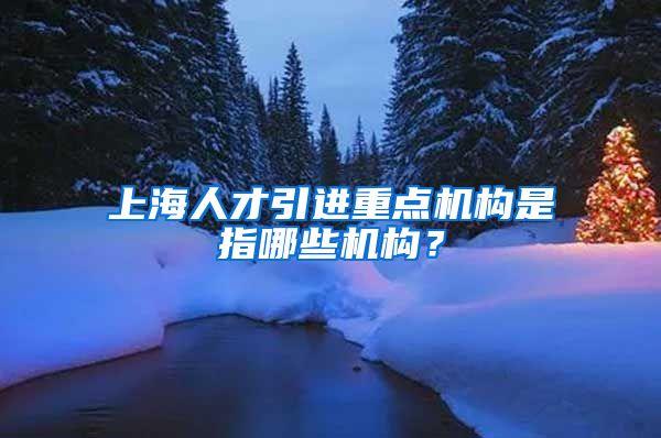 上海人才引进重点机构是指哪些机构？