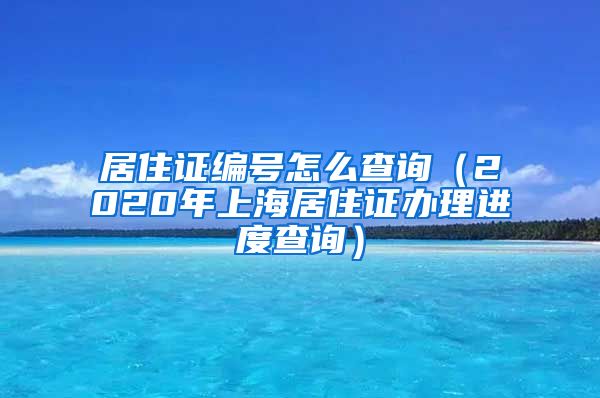 居住证编号怎么查询（2020年上海居住证办理进度查询）