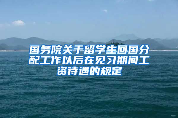 国务院关于留学生回国分配工作以后在见习期间工资待遇的规定