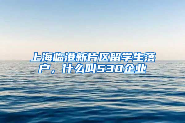 上海临港新片区留学生落户，什么叫530企业