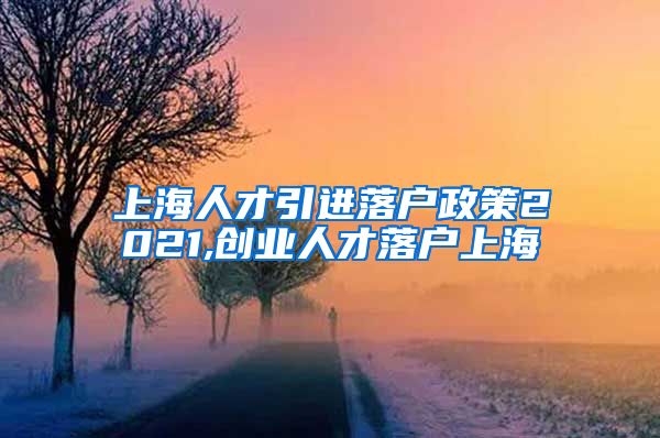 上海人才引进落户政策2021,创业人才落户上海